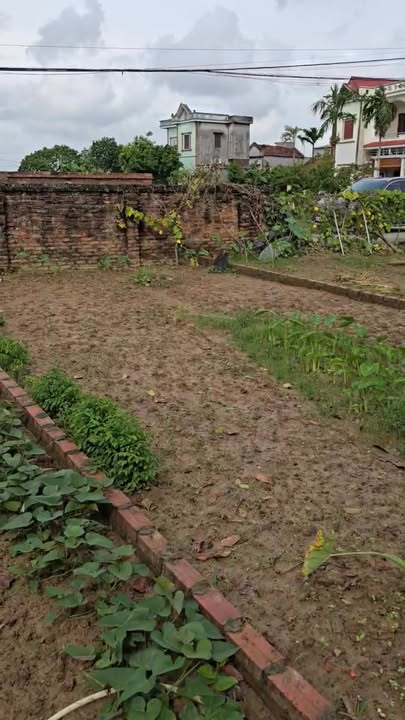 Đất nền Cổ Bì, Bình Giang 91m² - Vị trí đẹp, chính chủ bán gấp!