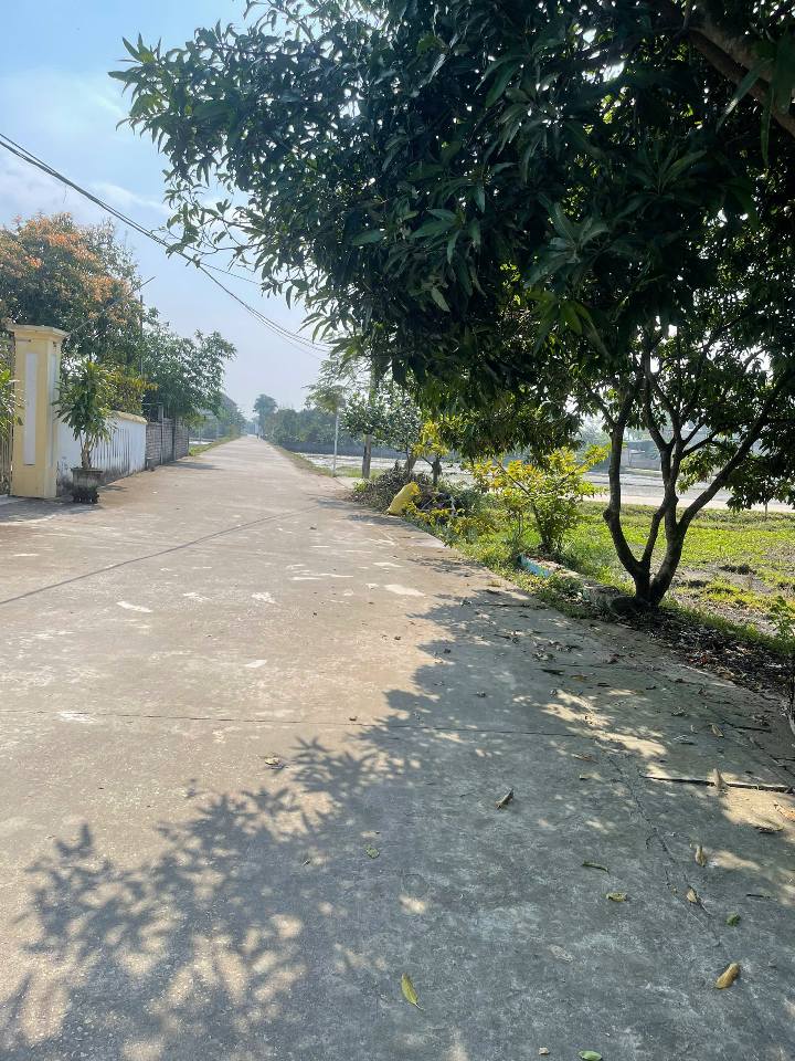 Đất nền đẹp Tân Phong, 600m² giá 2 tỷ - Đầu tư sinh lời ngay!