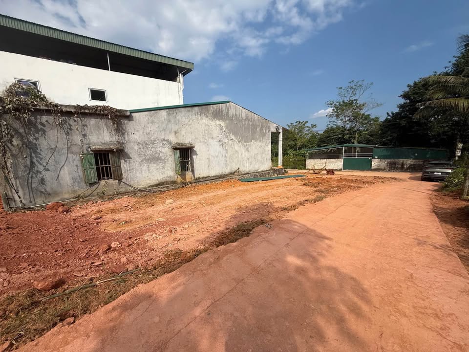 Đất nền Kim Phú, Tuyên Quang 100m² giá 600 triệu - Vị trí tiềm năng, sổ hồng riêng!