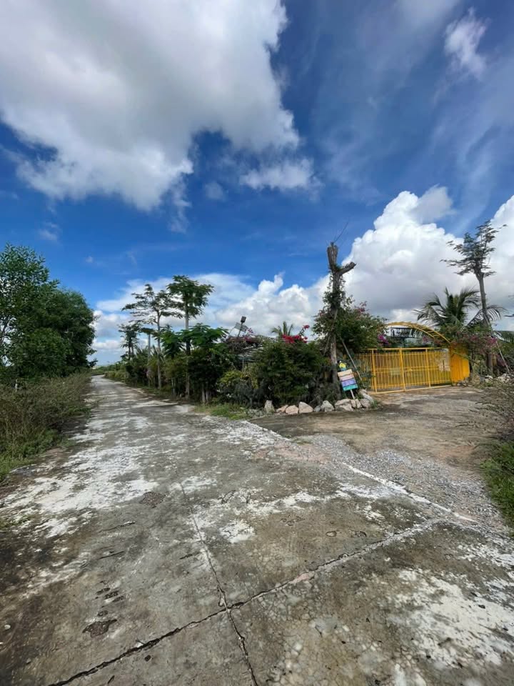 Đất nền Thiện Nghiệp, Phan Thiết 2000m² giá 6 tỷ - Cơ hội đầu tư hấp dẫn!