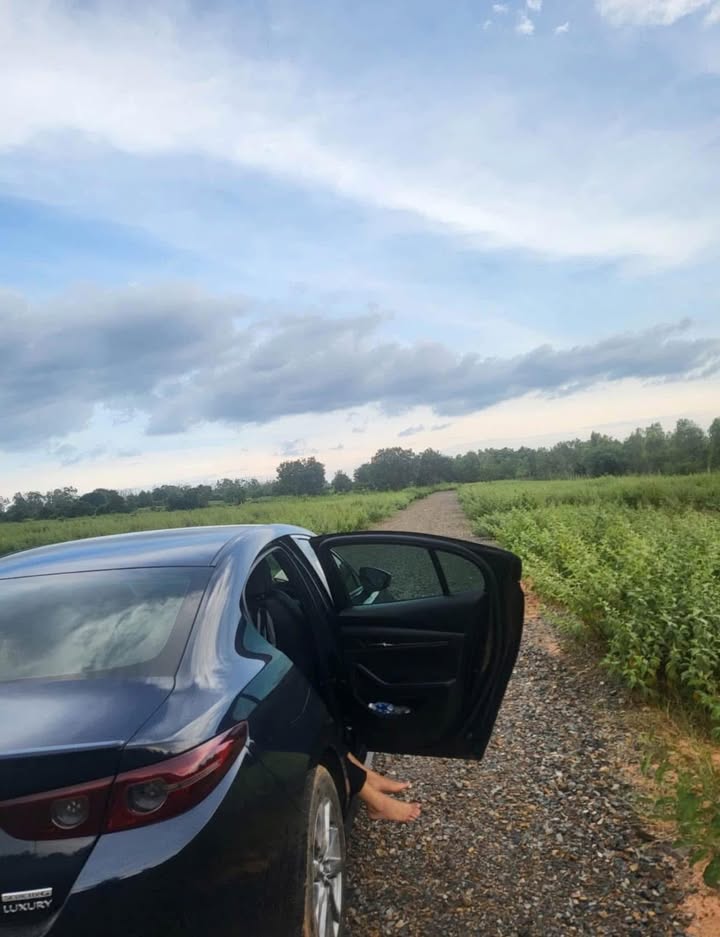 Farm Tiến Thành 3000m² giá 2.8 tỷ - Đầu tư homestay lý tưởng!