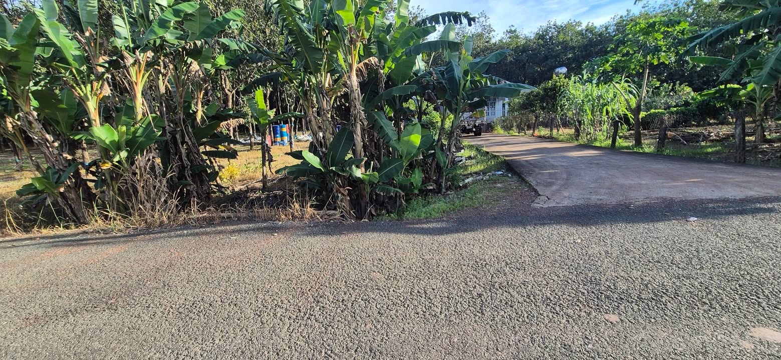 Đất nền Tiến Thành, Đồng Xoài 2600m² giá chỉ 260 triệu - Đầu tư sinh lợi ngay!