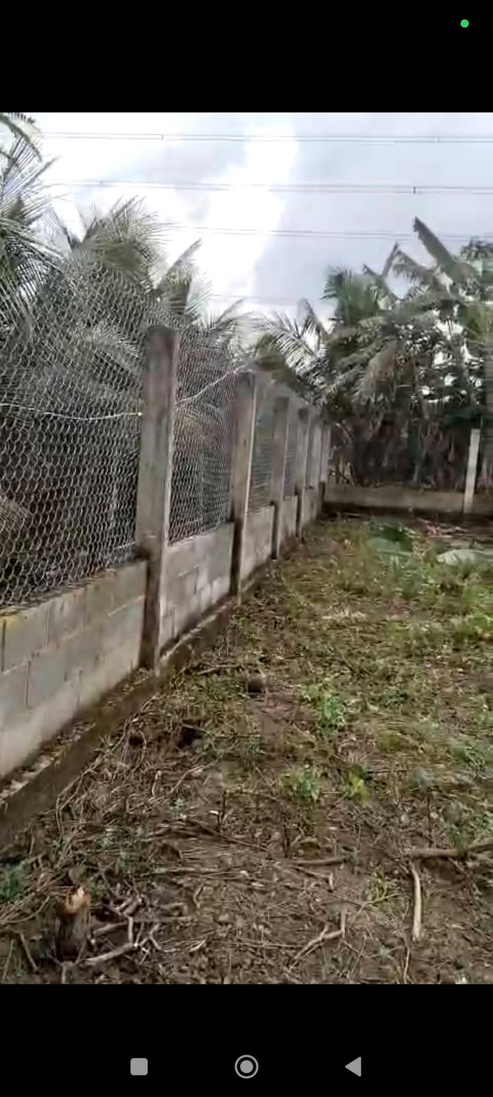 Đất nền Ấp 4, Tam Hiệp, Châu Thành, Tiền Giang 1209m² chỉ 1.1 tỷ - Đầu tư sinh lời ngay!