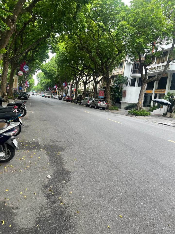 Căn hộ Tập Thể Kim Liên 48m² giá 5 tỷ - Vị trí đẹp, sổ đỏ lâu dài!