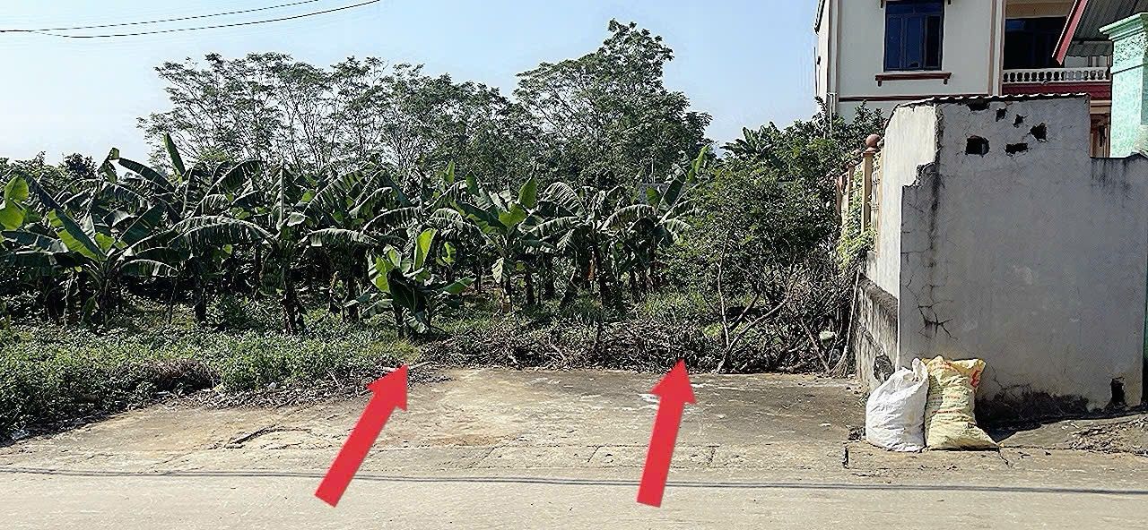 Đất nền Đông Yên, Quốc Oai 200m² - Cơ hội đầu tư hấp dẫn!