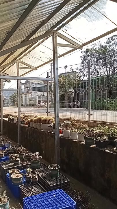 Đất nền sân golf Tràng An, Nho Quan, 880m² - Đầu tư sinh lời hấp dẫn!