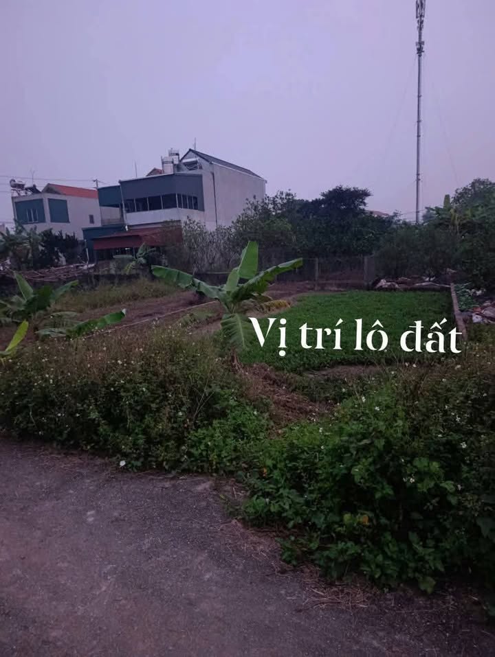 Đất nền Đồng Du, Bình Lục 125m² giá 1 tỷ - Sổ đỏ chính chủ, không lỗi phong thủy!