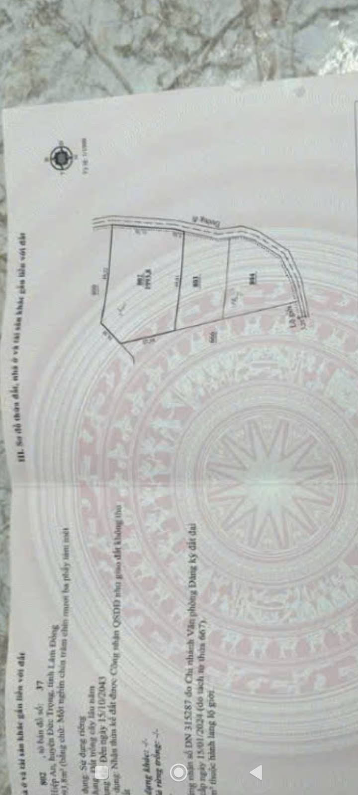 Đất nền Định An, Đức Trọng, Lâm Đồng 2000m² giá 6 tỷ - Mặt tiền bê tông thông thoáng!