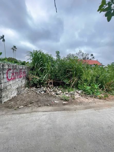 Đất nền tại Mỹ Cụ, Thủy Nguyên, Hải Phòng 57m² chỉ 1 tỷ - Sổ đỏ chính chủ sẵn sang tên!