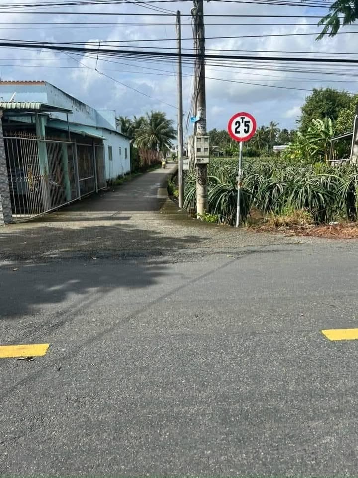 Đất nền thổ cư 140m² tại Phú Ngãi Trị, Châu Thành, Long An - Giá chỉ 550 triệu - Thương lượng ngay!