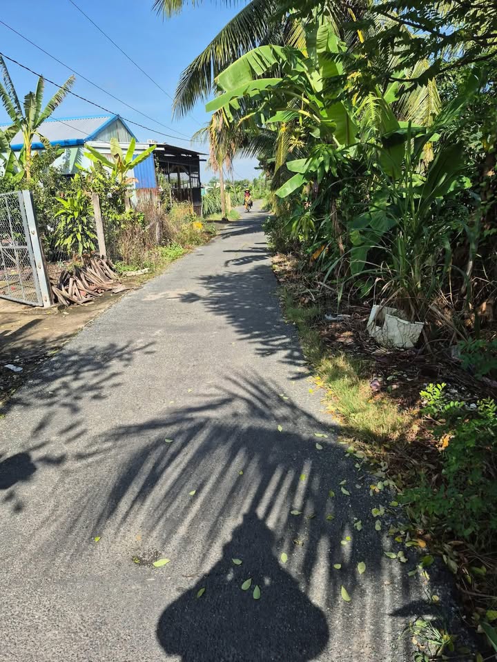 Đất thổ cư 1200m² xã An Lục Long - Giá chỉ 1.6 tỷ, cơ hội đầu tư tuyệt vời!