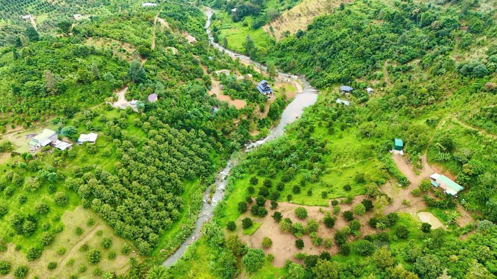 Đất thổ cư 4,8 sào Lộc Nam, Bảo Lâm chỉ 1.84 tỷ - Tiềm năng đầu tư cao!