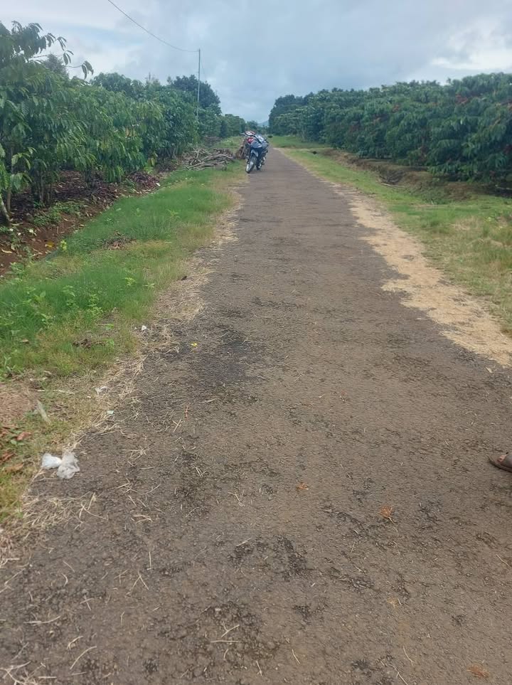 Đất nền Lộc An Bảo Lâm 3600m² giá 1.2 tỷ - Mặt tiền đường nhựa thuận lợi!