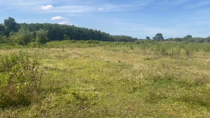 Đất 5700m² tại ấp 6, xã Lộc Hưng giá chỉ từ 500 triệu - Cơ hội đầu tư tuyệt vời!