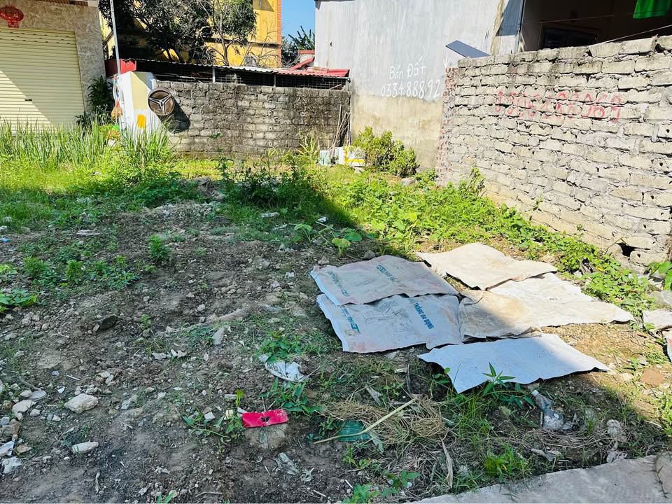 Đất nền Hùng Vương, An Dương 41m² giá chỉ 1,18 tỷ - Vị trí thuận tiện cho gia đình!