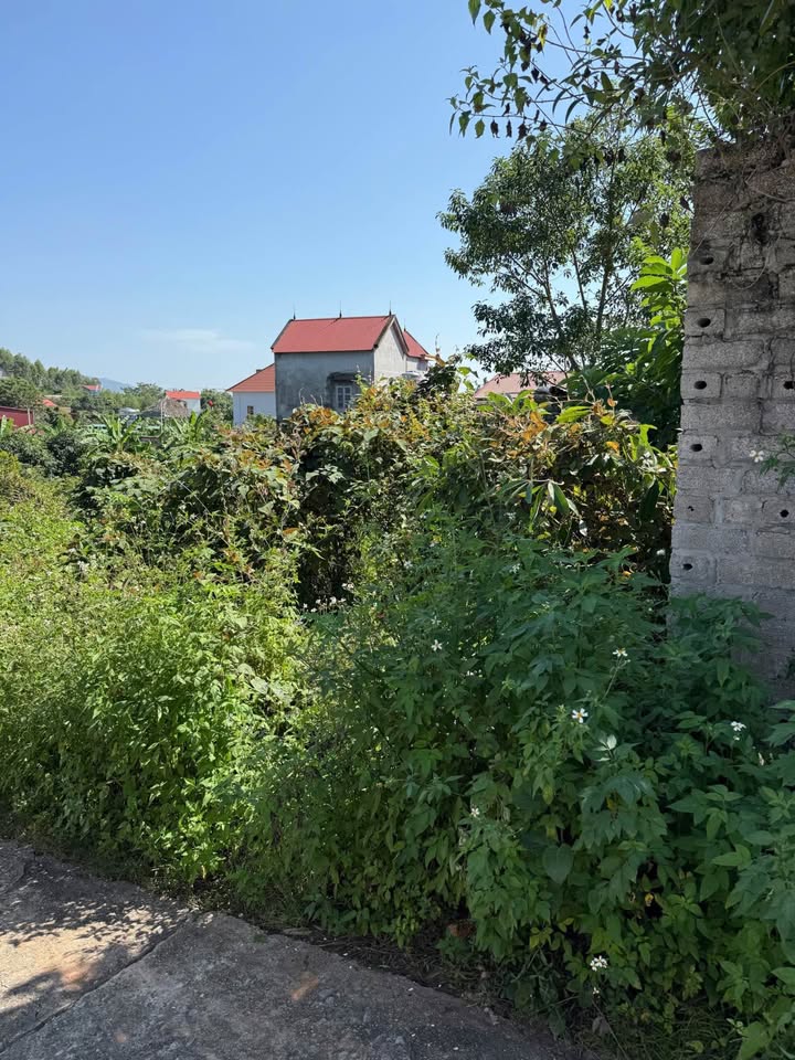 Đất nền Thôn Thượng Tùng, Xã Lão Hộ, Huyện Yên Dũng, 105.7m² - Giá tốt, đầu tư sinh lời!