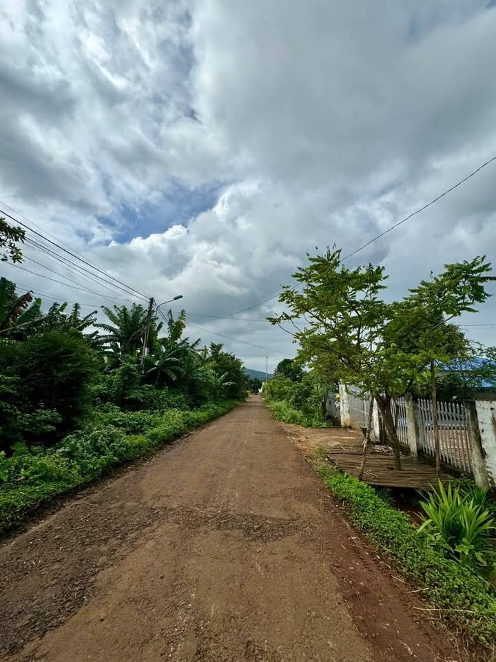 Đất thổ cư Phạm Ngũ Lão, Cư Êbur 250m² giá 3.25 tỷ - Đầu tư sinh lời tiềm năng!