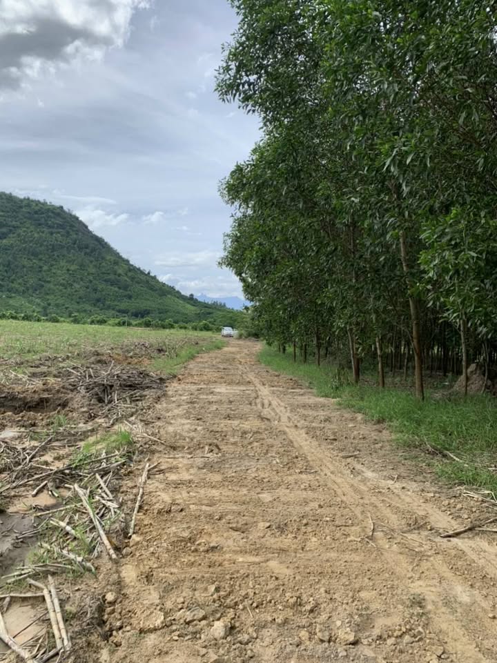 Đất nền thôn Suối Sâu, xã Ninh Tân, diện tích 1050m² - Giá thỏa thuận hấp dẫn!