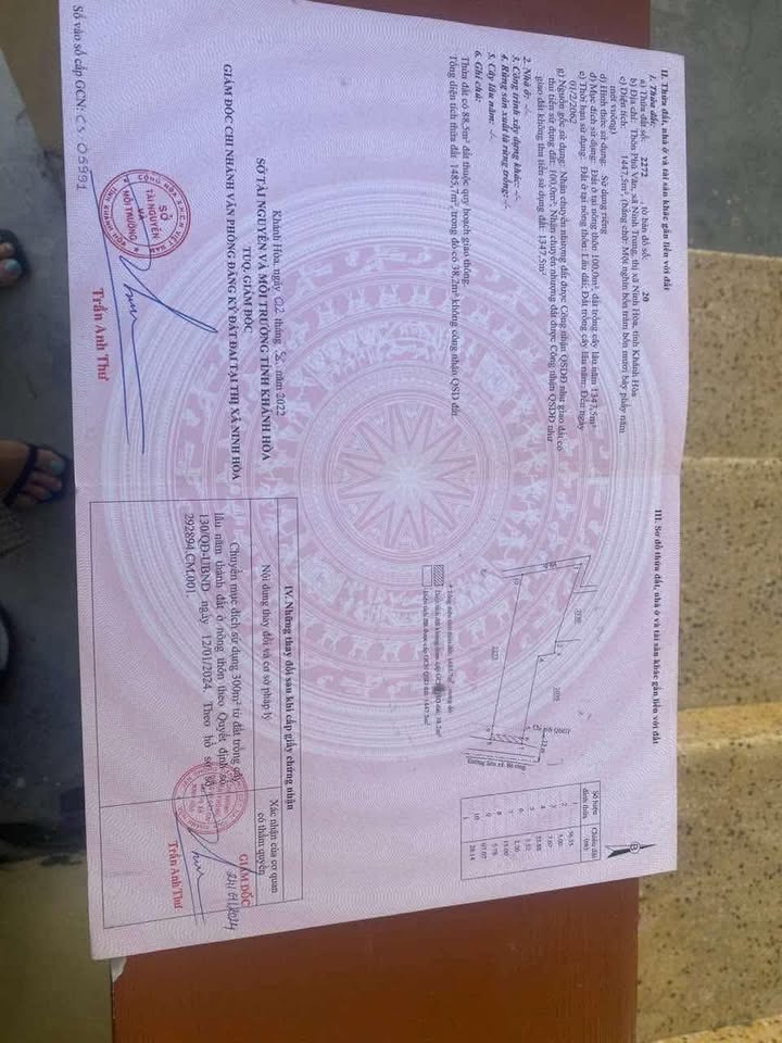 Đất Nền Ninh Trung 1447m² giá 3 tỷ - Sổ hồng chính chủ, thương lượng nhẹ!