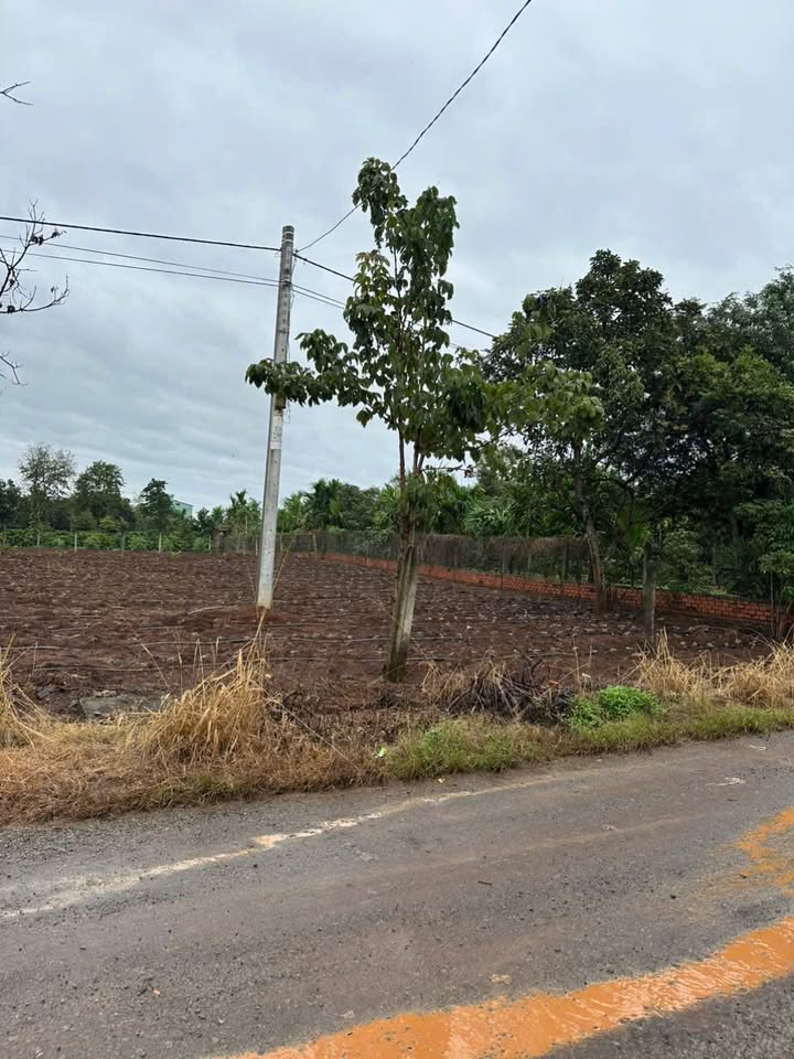 Đất nền chính chủ tại Quảng Phú, Cư M'gar, 135m² giá chỉ 200 triệu - Cơ hội đầu tư tuyệt vời!