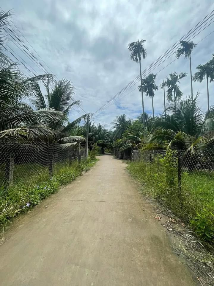 Đất nền xã Sơn Đông Bến Tre 2312m² giá 3.93 tỷ - Cơ hội đầu tư tuyệt vời!