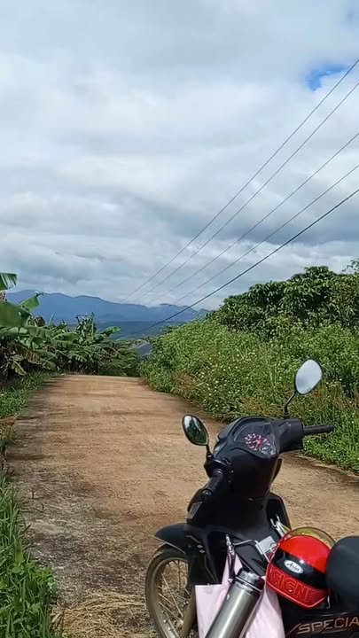 Vườn cà phê Bảo Thuận 1,3ha giá 4,644 tỷ - Đầu tư sinh lời hấp dẫn!