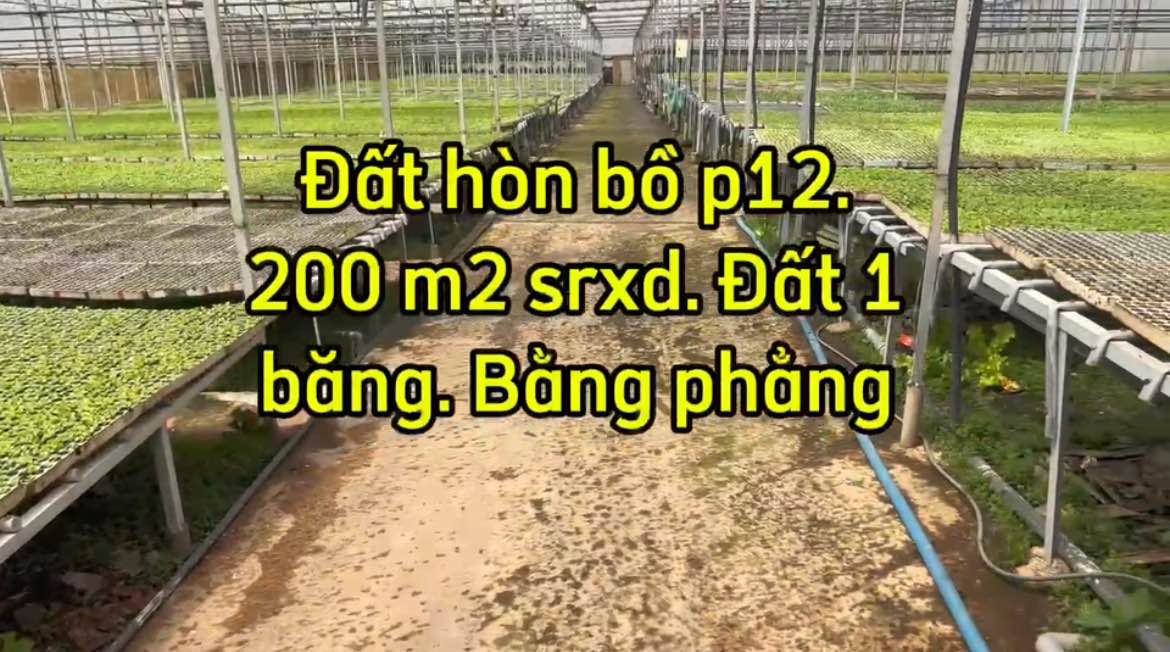 Đất nền đẹp tại Thái Phiên, Đà Lạt 200m² giá 3.6 tỷ - Đầu tư sinh lời ngay!