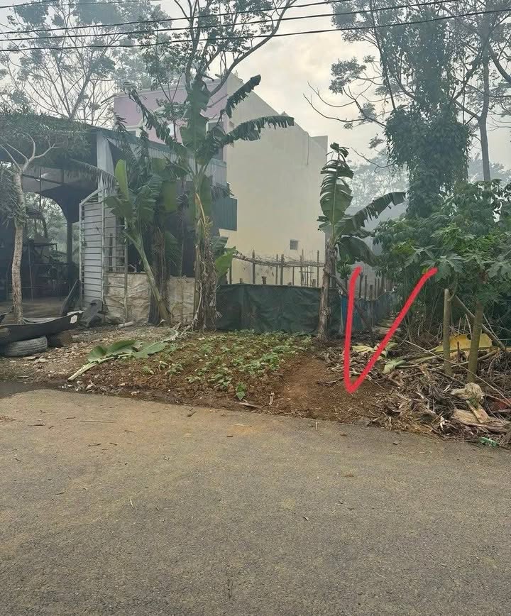 Đất phân lô 100m² tại Nam Sơn, Tam Điệp - Giá hấp dẫn chỉ từ 1xx tỷ!