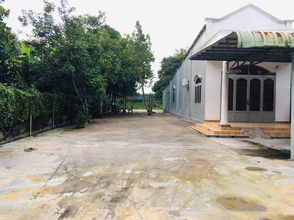 Bán nhà mặt tiền đường Bùi Thị Điệt, Củ Chi 694m² giá 6 tỷ - Cơ hội đầu tư tuyệt vời!