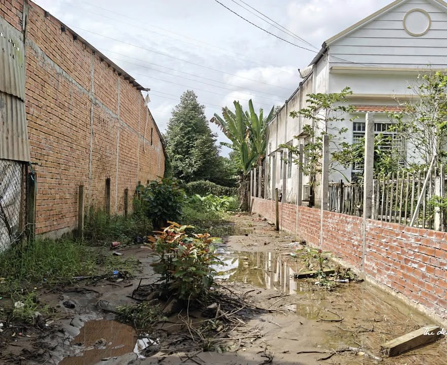 Đất nền Rạch Chuối - An Bình, Cần Thơ 144m² giá 699 triệu - Đầu tư sinh lời ngay!