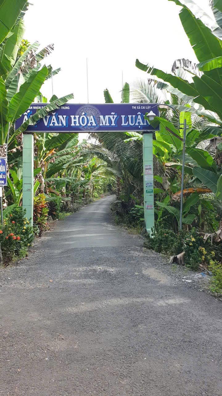 Đất nền 216m² xã Mỹ Hạnh Trung giá 520 triệu - Sổ hồng chính chủ, thương lượng tốt!