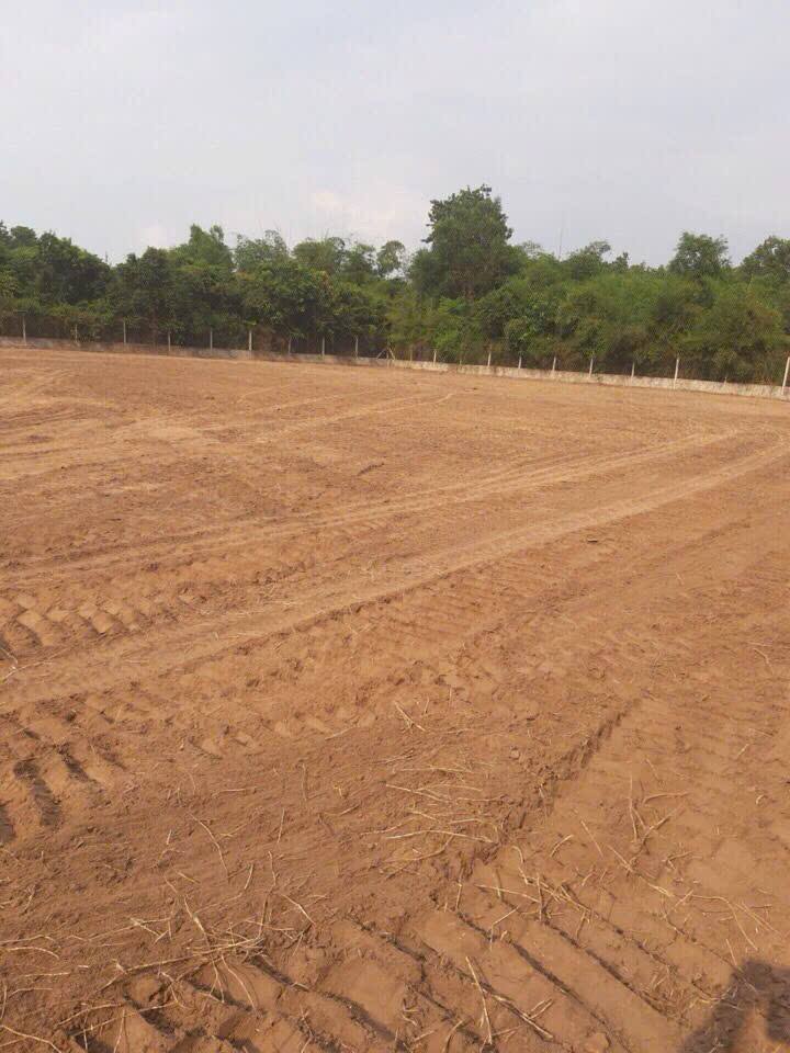 Đất nền Phú Hòa Đông, Củ Chi 3328m² giá 15 tỷ - Mặt tiền đường bê tông thông thoáng!