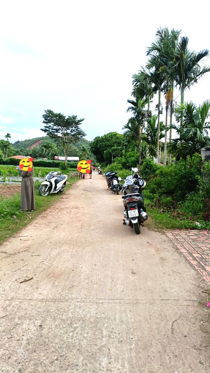 Đất thổ cư Đắk Liêng 162m² giá 300 triệu - Vị trí đẹp, tiện ích xung quanh!