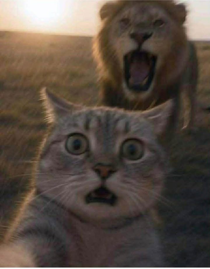 Đất nền Khánh Xuân 104m² giá 850 triệu - Đường thông thoáng, tiện ích đầy đủ!