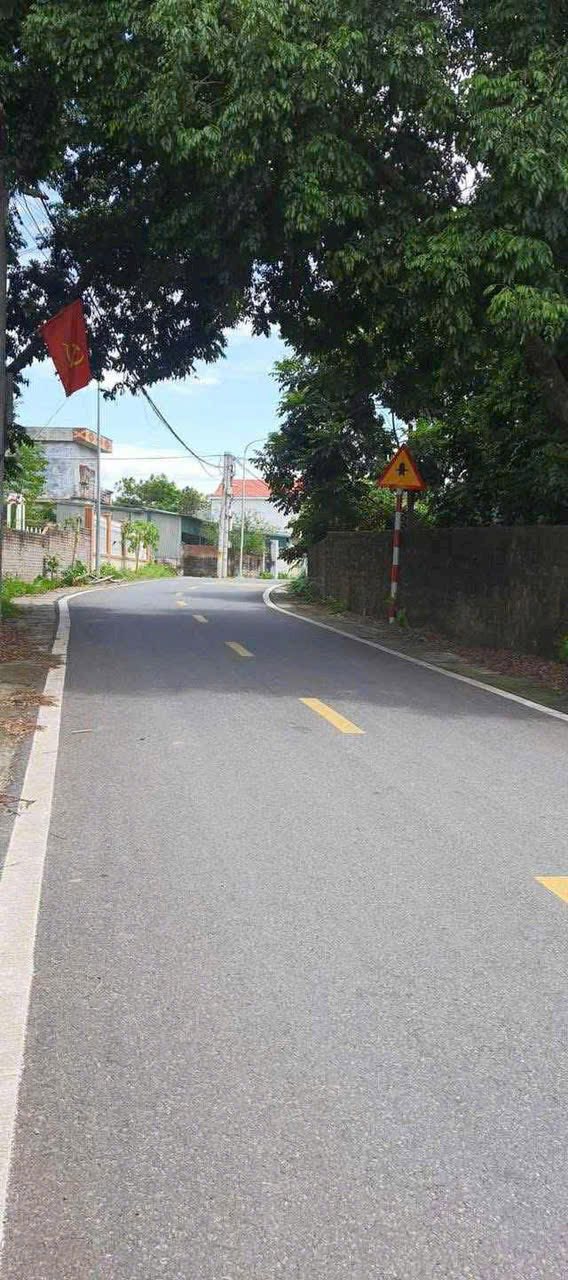 Đất Tân Thành, Cẩm Lĩnh, Ba Vì 677m² - Tiềm năng kinh doanh cao!