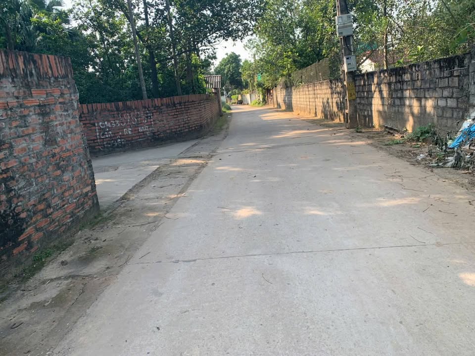 Đất Thổ Cư Thôn Thanh Lũng, Quảng Oai 186m² giá chỉ 1 tỷ - Đầu tư sinh lời!