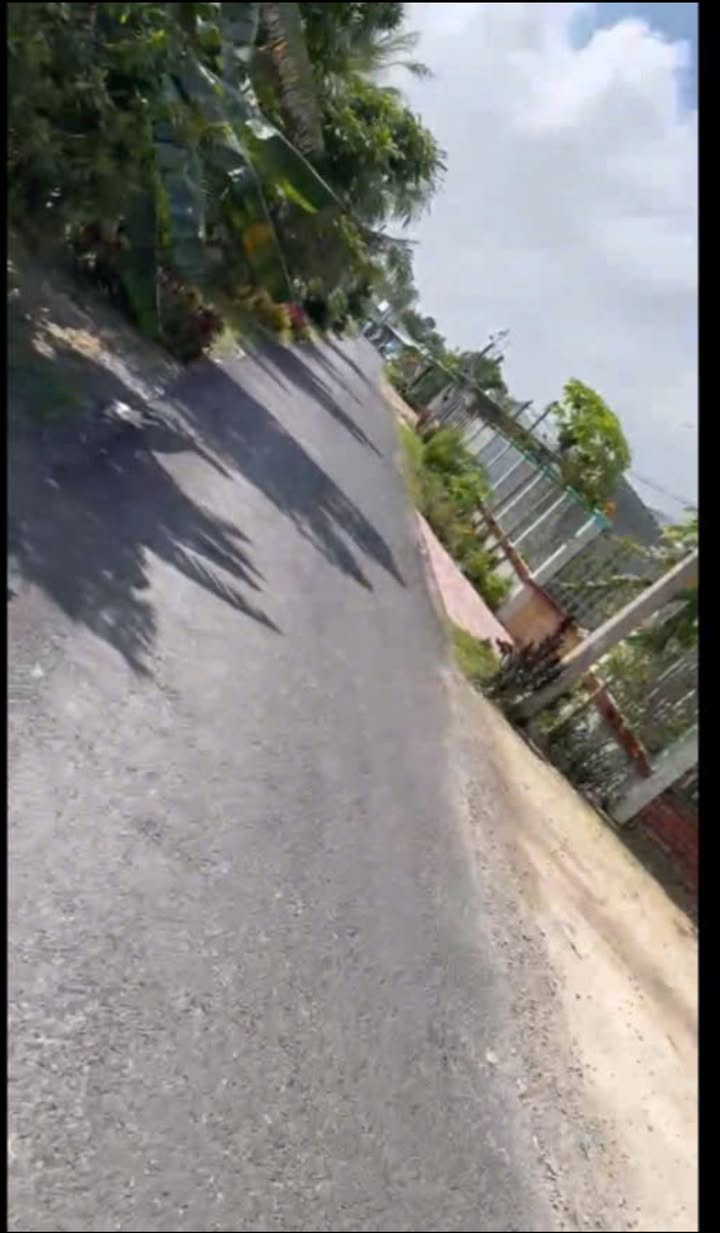 Nhà cấp 4 mặt tiền đường nhựa 400m² tại Tân Hạnh, giá chỉ 2.6 tỷ - Cơ hội đầu tư tuyệt vời!