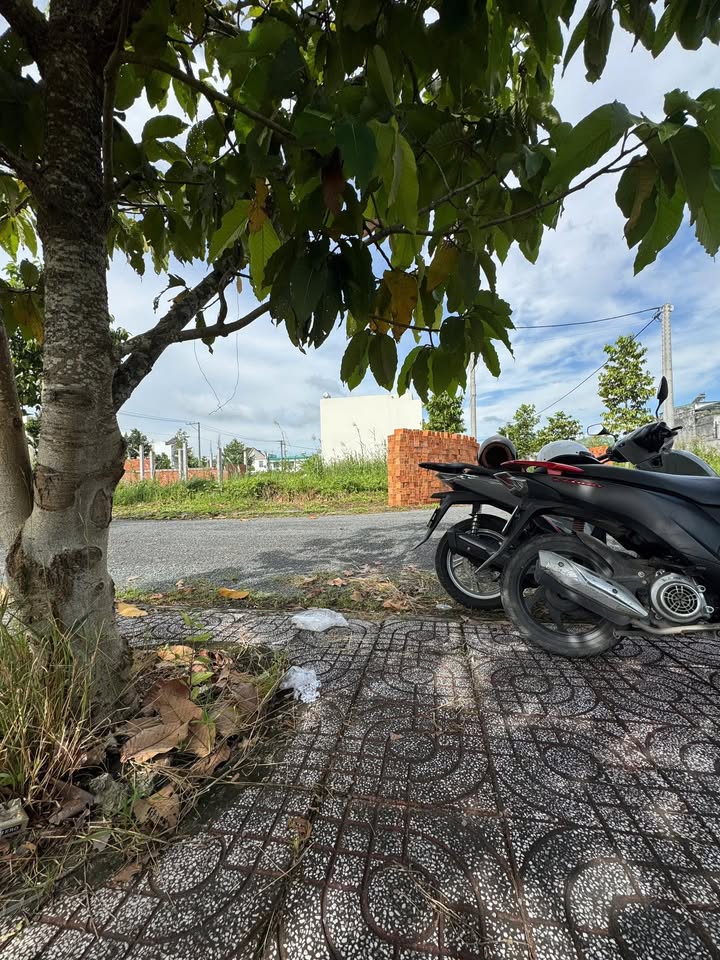 Đất nền tái định cư P9 TP Vĩnh Long 80m² giá chỉ 1 tỷ - Cơ hội đầu tư hấp dẫn!