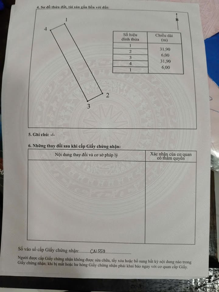 Đất nền chính chủ tại Nam Hồng, Từ Sơn, 191m² - Giá chỉ 7.656 tỷ!