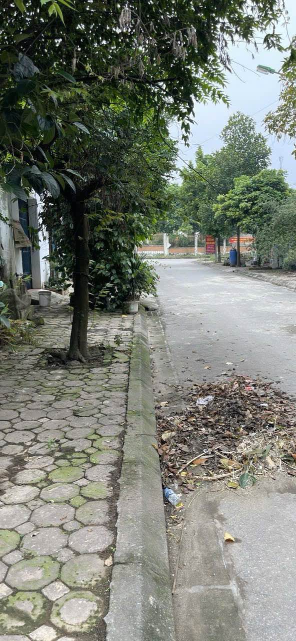 Đất dự án Phú Cát Quốc Oai 100m² - Cơ hội đầu tư sinh lời ngay!