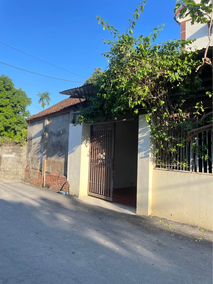 Đất thổ cư 100m² xã Đông Yên giá 3 tỷ - Đầu tư sinh lời ngay!