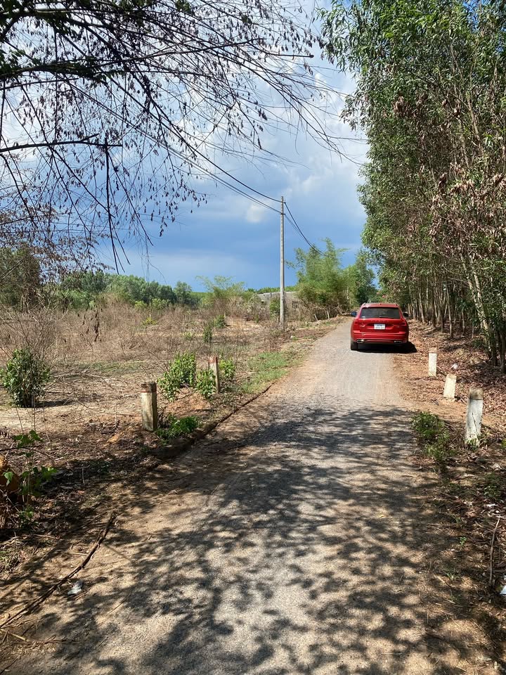 Đất sào 1471m² xã Tân Hiệp, Long Thành giá chỉ 5.7 tỷ - Cơ hội đầu tư hấp dẫn!