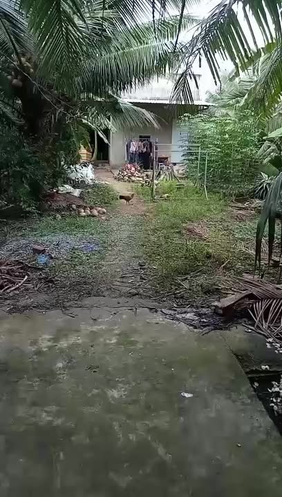 Đất thổ cư Lương Hòa Giồng Trôm 500m² giá 600 triệu - Cơ hội đầu tư hấp dẫn!