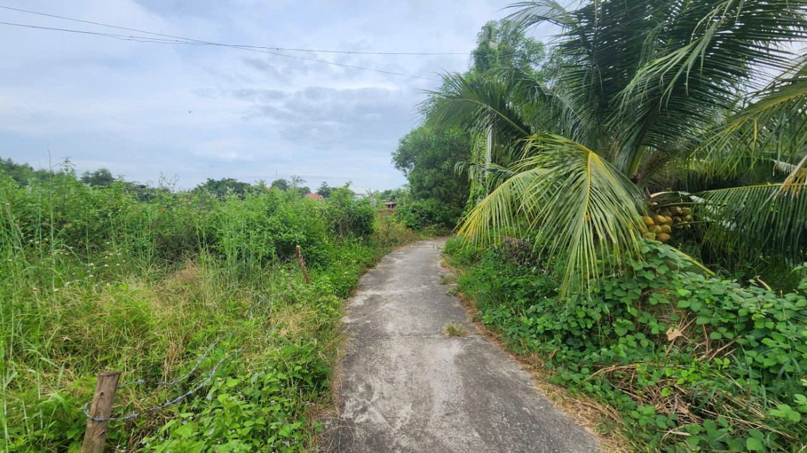 Đất vàng 1.502m² tại La Gi - Nở hậu 46m, chỉ 2.5 tỷ VND!