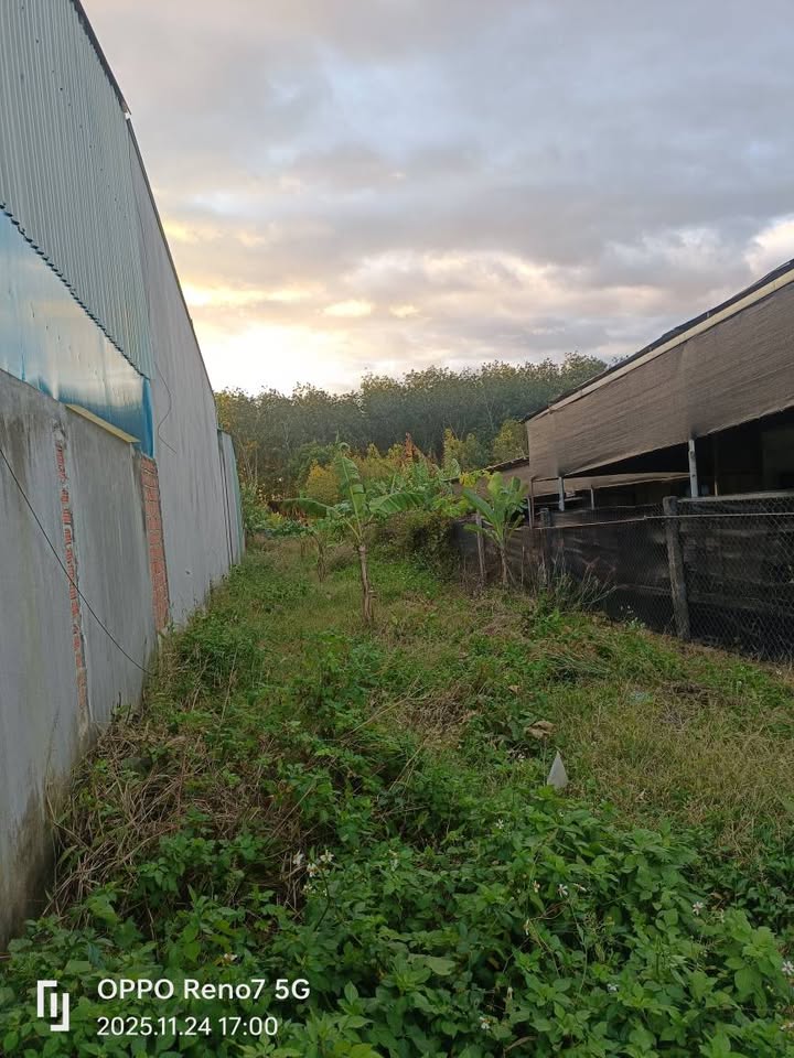 Đất mặt đường Trần Đại Nghĩa, Nguyễn Trãi, 375m² giá 900 triệu - Cơ hội đầu tư sinh lời!