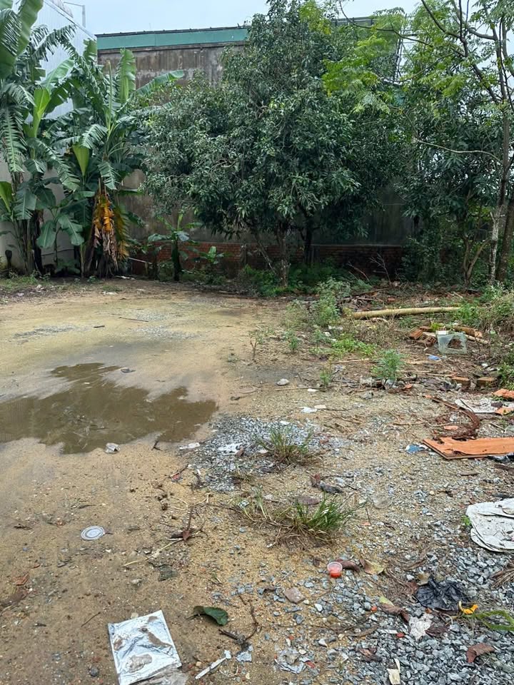 Đất nền hẻm 363 Nguyễn Trãi, Quảng Ngãi 157.5m² giá 1.8 tỷ - Cơ hội đầu tư tuyệt vời!