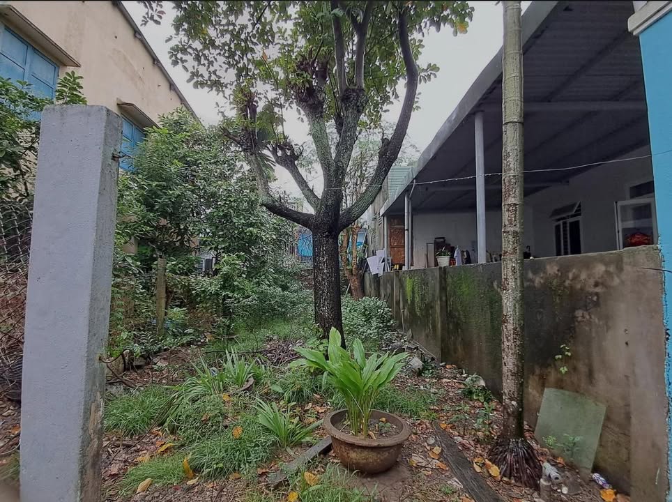 Đất nền Chính Gián Đà Nẵng 80m² - Khu dân cư đông đúc, giá thỏa thuận!