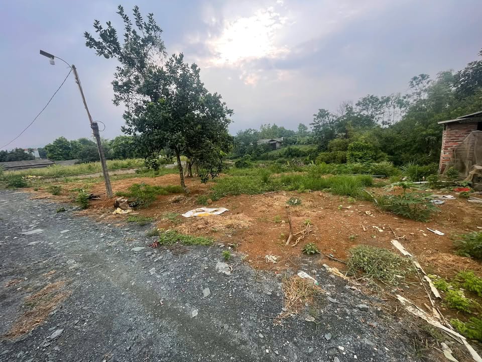 Đất phân lô 900m² xã Phú Cát, Quốc Oai - Giá chỉ 9 tỷ - Đầu tư sinh lời ngay!