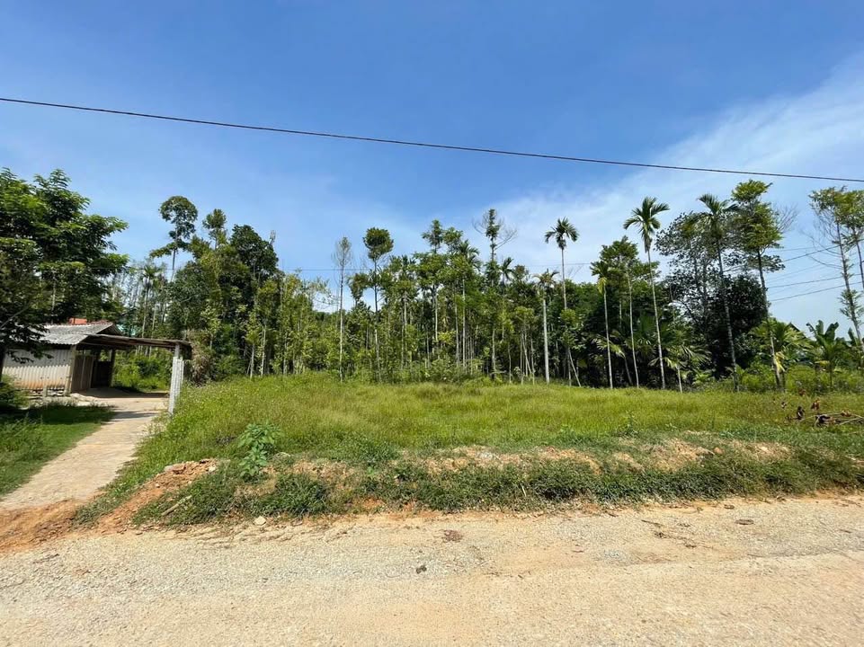 Đất mặt tiền đường Châu Chữ, Thủy Bằng, 92m² giá chỉ 599 triệu - Cơ hội đầu tư hấp dẫn!