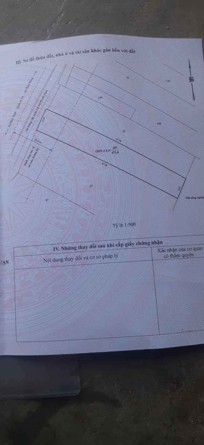 Đất thổ cư 1056m² tại Phước Minh, Thuận Nam - Giá thỏa thuận hấp dẫn!